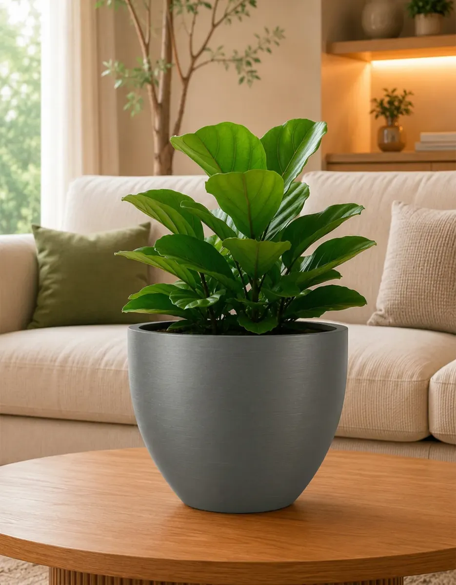 Produtos Spagnhol Plantas