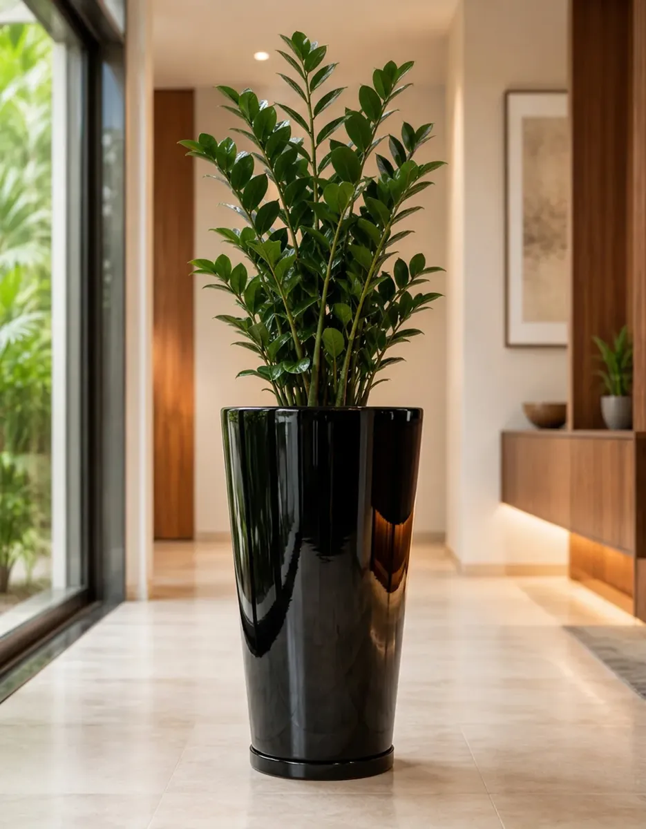 Produtos Spagnhol Plantas