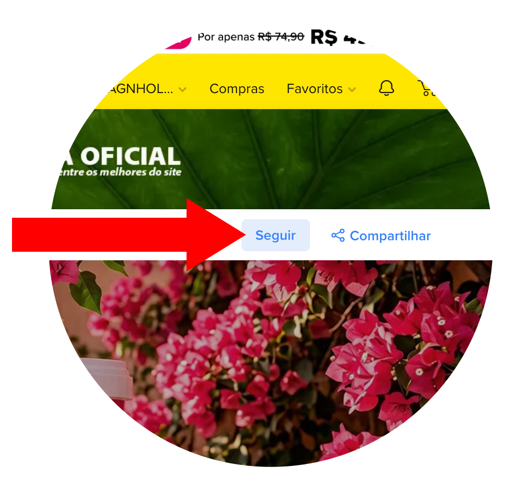Print mostrando o botão Seguir na página oficial da Spagnhol no Mercado Livre